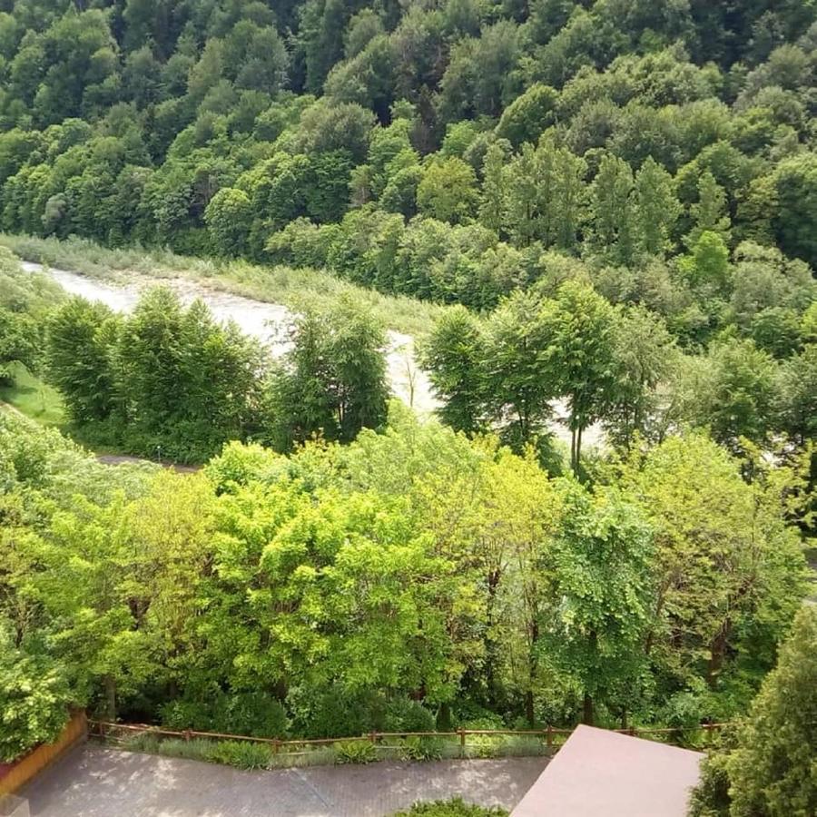 Malyvo Hotel Делятин Экстерьер фото